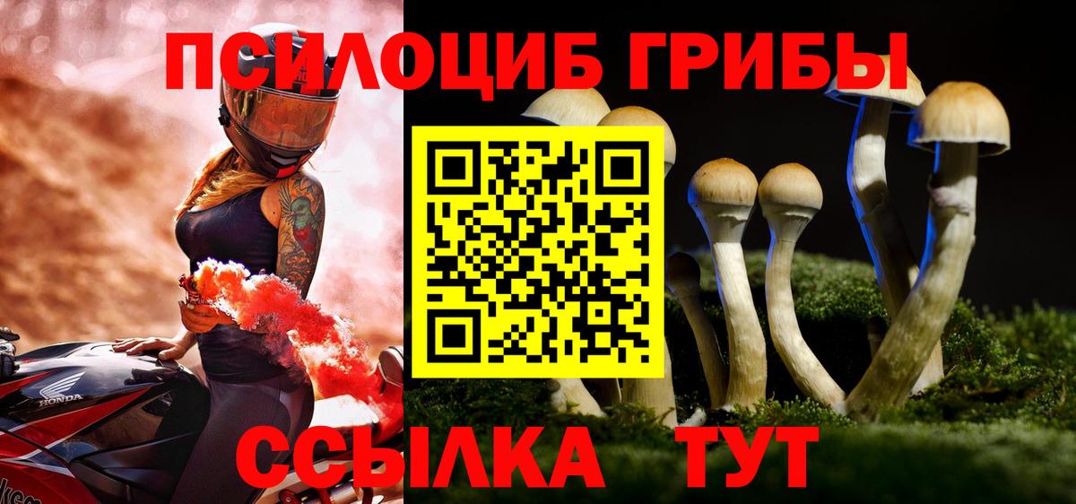 Галлюциногенные грибы Psilocybe Бугульма